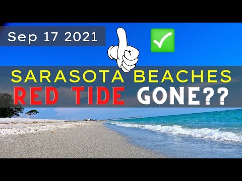 Florida Red Tide Updates