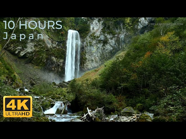 Waterfall Sounds in Forest Japan 4K 😴 Water Sounds - White Noise for Relaxing, Study & Sleep