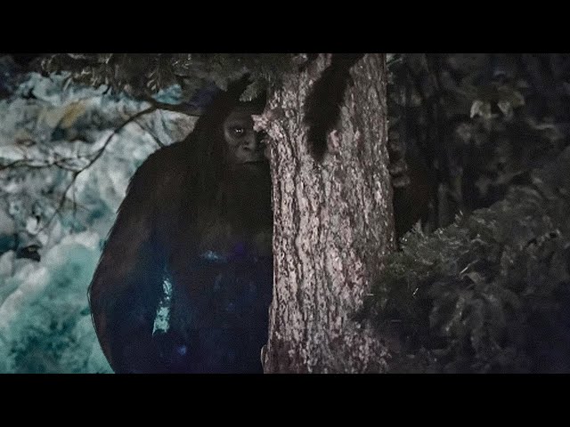 Bigfoot Encounters That Will Leave You Shaken