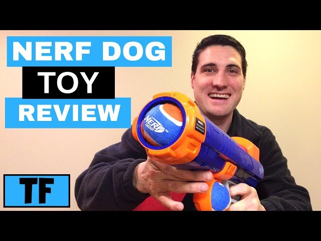 Nerf Dog Ball Launcher! Best Dog Play Toy For Your Puppy?