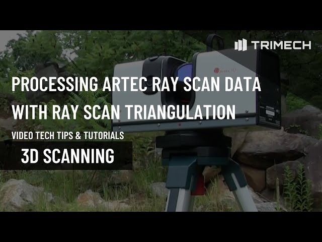 Processing Artec Ray 3D Scan Data with Ray Scan Triangulation