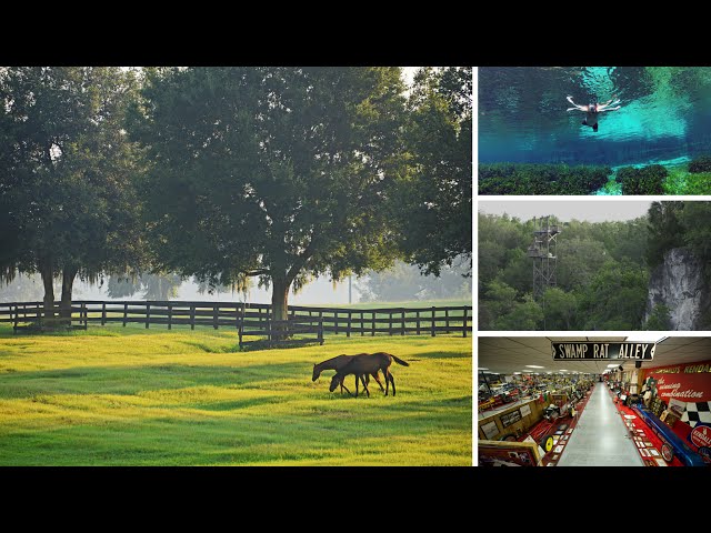 Explore Ocala - Marion County in 60 Seconds
