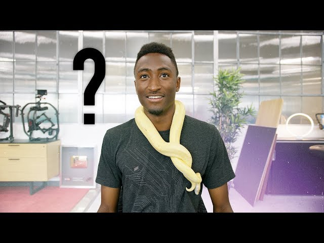 Snakes in the Studio? Ask MKBHD V19!