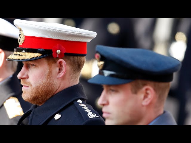 Prince Harry was ‘sad’ to give up military accolades