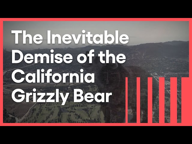 California's Lost Grizzly | Lost LA | KCET