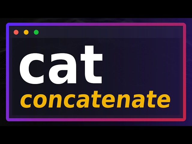 CAT Command In Linux - NOT Another Cat Video 🐱
