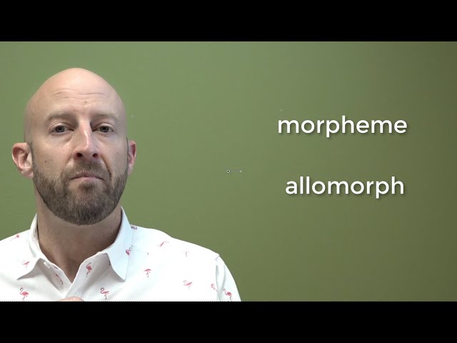 Morphology (part 2)