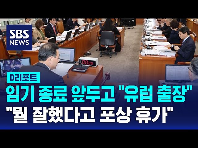 "뭘 잘했다고 포상휴가" 국회 연금특위 '유럽 출장' 논란 / SBS / #D리포트