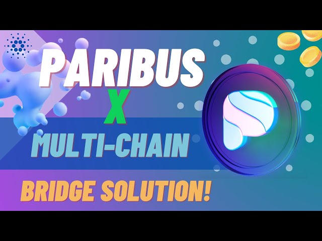 Paribus Cross-Chain Interoperability with Multichain Partnership
