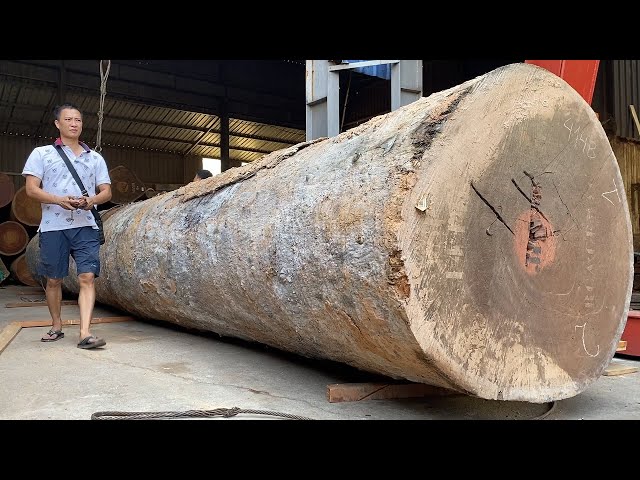 Sawmill Wood Skill - Dangerous Biggest Wood Sawmill Cutting Hundreds Years Old Tree