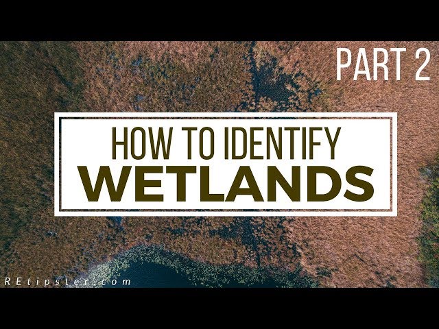 How to Identify (and Avoid) Wetlands - Part 2