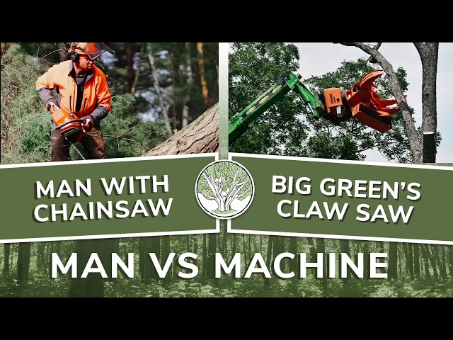 Man with Chainsaw vs. Big Green Tree Machine’s Saw Claw