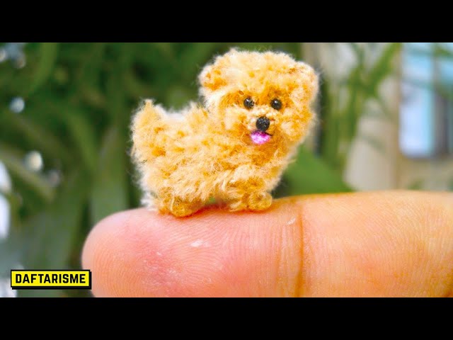 Anjing Paling kecil di dunia, cuma sepanjang Jari manusia