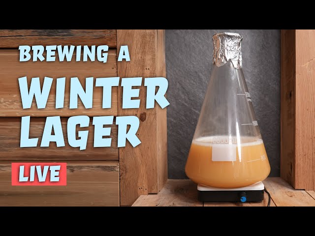 Brewing a Winter Lager - LIVE