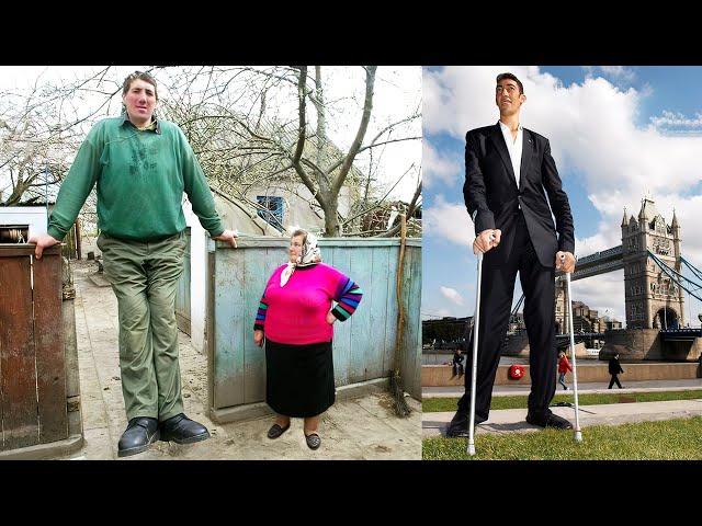The TALLEST PEOPLE In The World