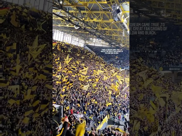 Watching Borussia Dortmund BVB match | BVB crowded fans cheering to the team #football #germany