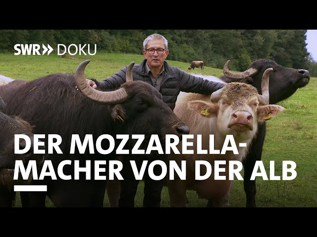 Der Mozzarellamacher von der Alb - die Wasserbüffel vom Heidäckerhof | SWR Doku