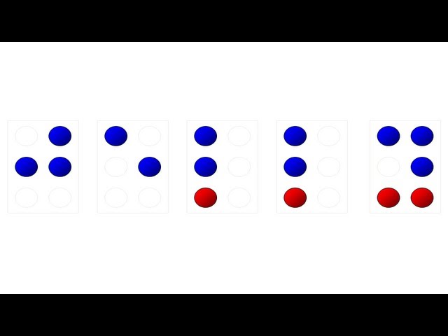 How BRAILLE Works