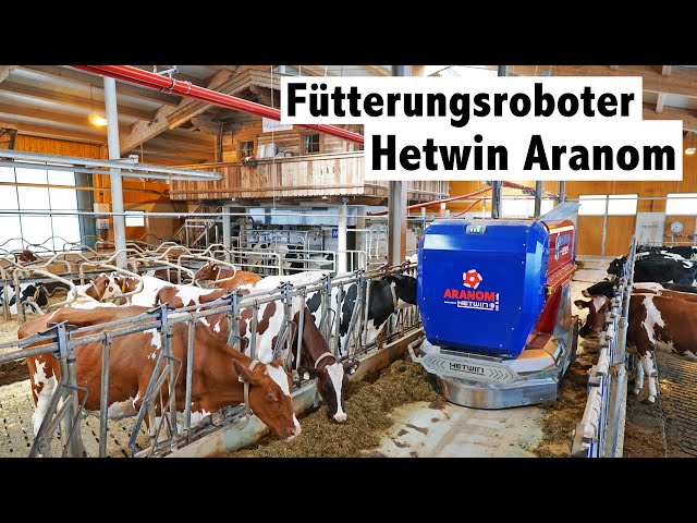 Hightech im Kuhstall | Fütterungsroboter Hetwin Aranom | Kühe automatisch füttern