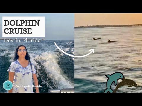 Dolphin cruise at Destin Beach, Florida | Sea Blaster dolphin cruise | best Florida Vlog - 3