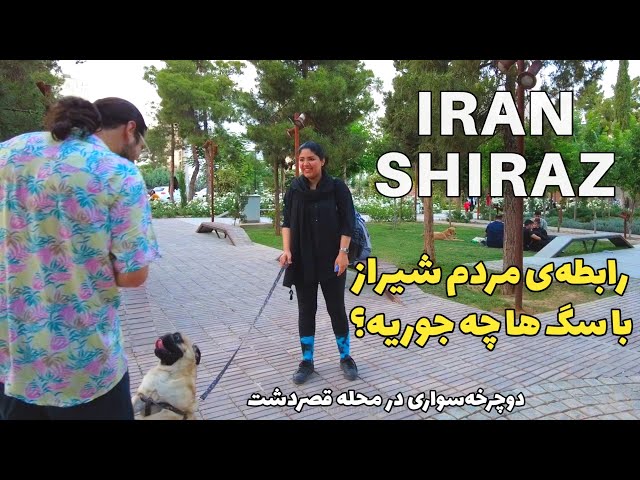 Iran Spring riding bike Tour on Ghasrodasht Street - Iran Daylight vlog کوچه و خیابان همیشه سرسبز