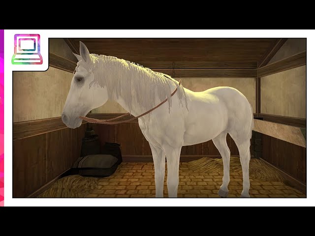 Real Horse World Jumping Game Android Gameplay (Horse Game)