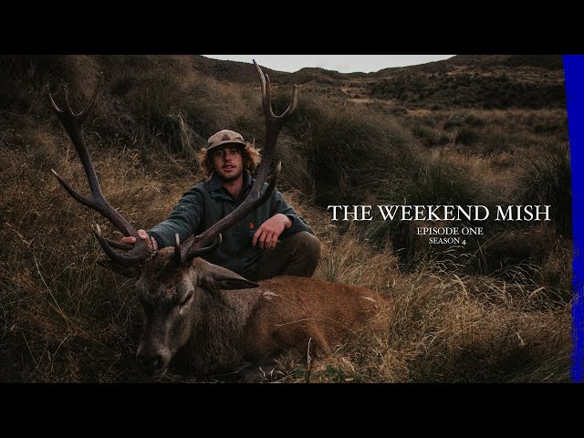 Red Stag Roar Hunting - New Zealand, A Hunters Paradise