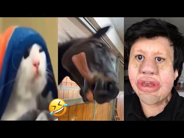 THE FUNNIEST MEMES Of April 2024 | Try Not To LAUGH 😂 | #1