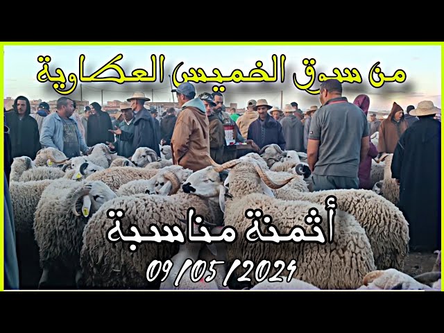 الله على سوق الخميس العطاوية إقليم قلعة السراغنة بتاريخ 09/05/2024 أثمنة الأغنام اليوم #عيد_الاضحى🐑🐏