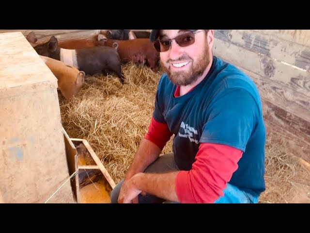 Delicious Pork In The Making | Homestead Vlog | April 10, 2024