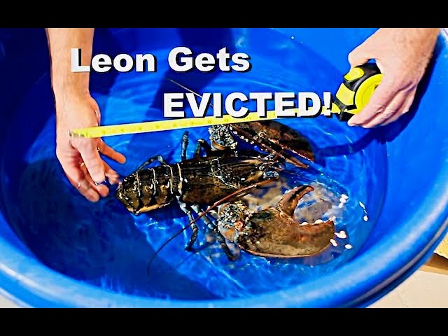 Leon Gets Evicted!
