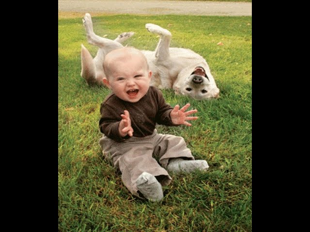 Funny Babies Laughing With Pets