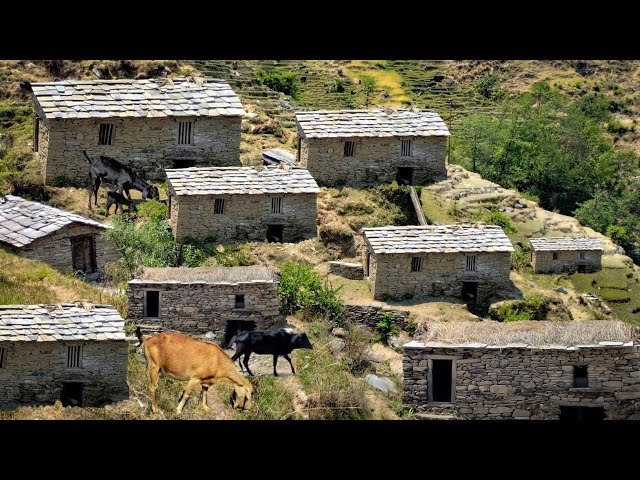 Simple Happy Himalayan Village Life | Nepal | Most Peaceful and Relaxation Mountain Village Life |