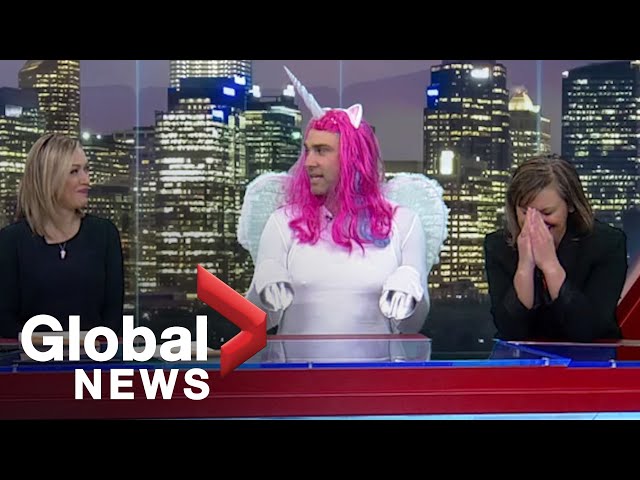 Halloween 2019: Global Calgary chats with 'Ferdinand' the mystical unicorn as costume goes viral