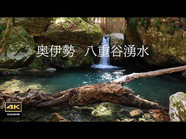 4K video + natural  sounds ASMR / Rock moss and spring water forest / Okuise / Yaetani Yusui