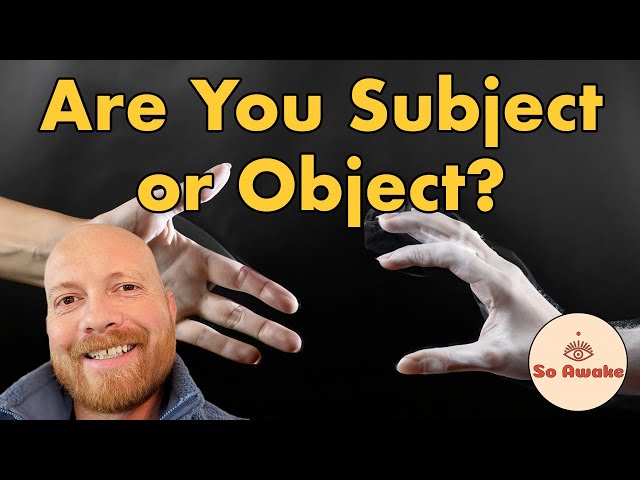 Are You Subject or Object? #nonduality #advaita