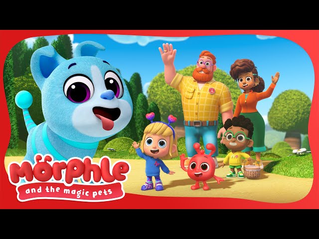 Perfect Day  | Morphle and the Magic Pets | Available on Disney+ and @disneyjunior | BRAND NEW