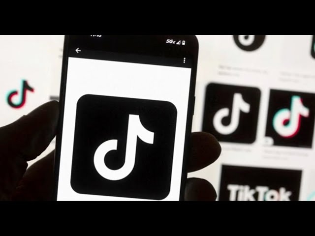 Congress seems poised to pass potential TikTok ban in US. How would it work