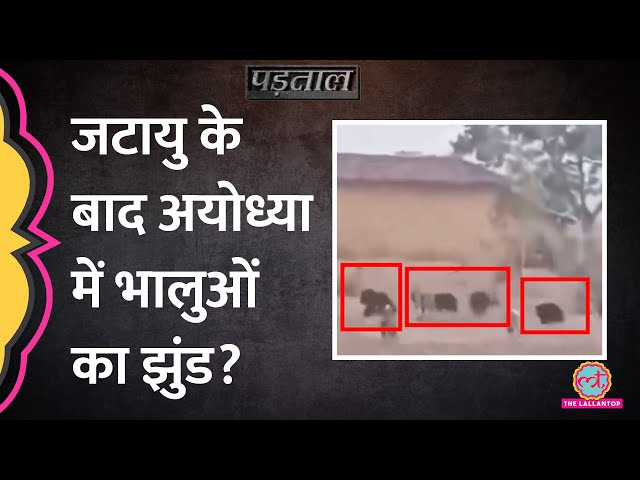 क्या सच में Ayodhya में भालुओं का झुंड भी पहुंच गया? Ram Mandir | Padtaal