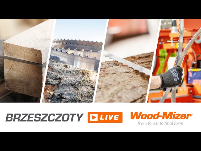 Wood-Mizer LIVE | Jak wybrać odpowiedni typ brzeszczotu | Wood-Mizer Europe