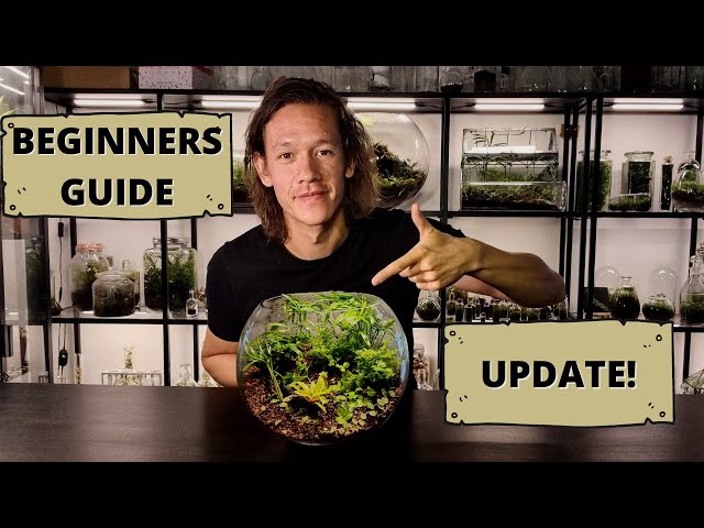 How To Make A Terrarium | A Beginners Guide