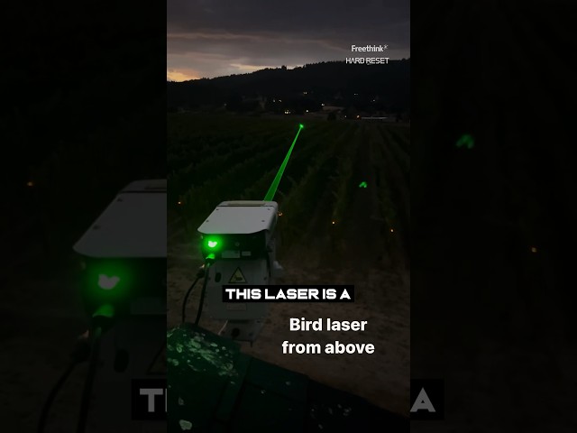 Watch laser scare birds away from crops 👀 #laser #farming #agriculture #inventions