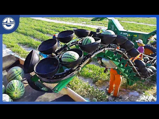 Amazing Harvesting Machines And Powerful Agriculture Cultivation Equipment