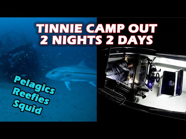 BOAT CAMPING | Catching Pelagics, Reef Fish & Squid | Underwater drone footage