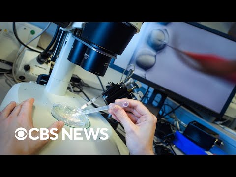 Science | CBS News