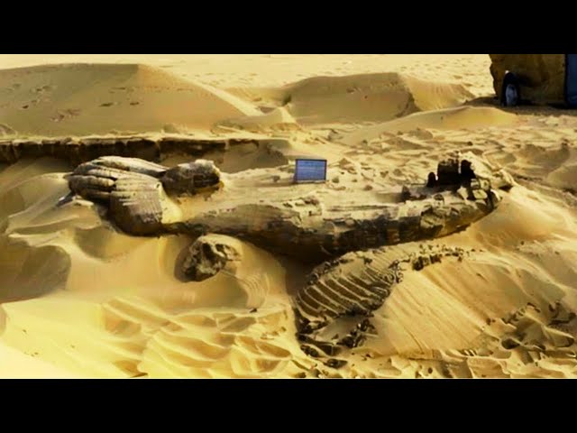 Archäologen gruben eine kalifornische Sanddüne aus und was sie entdeckten, machte sie sprachlos!