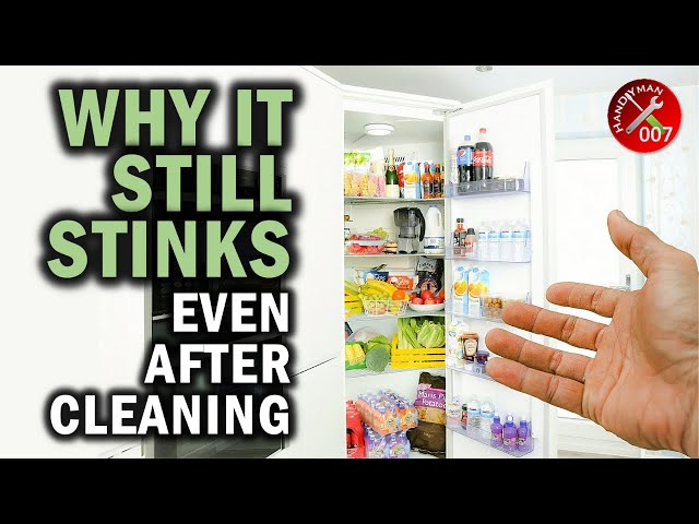 The Shocking Truth About Your Fridge | Why Stink Doesn't Go Away | How to Clean Smelly Fridge