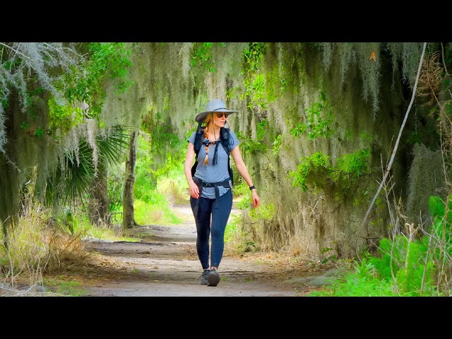 Solo Hiking For Two In Florida