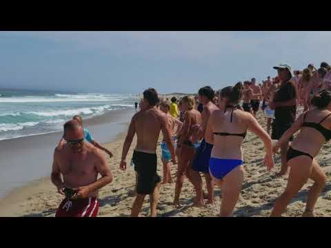 Nauset beach shark attack 7/27/18