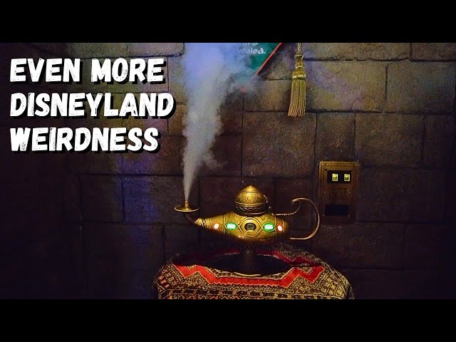 Even More Weird Things in Disneyland